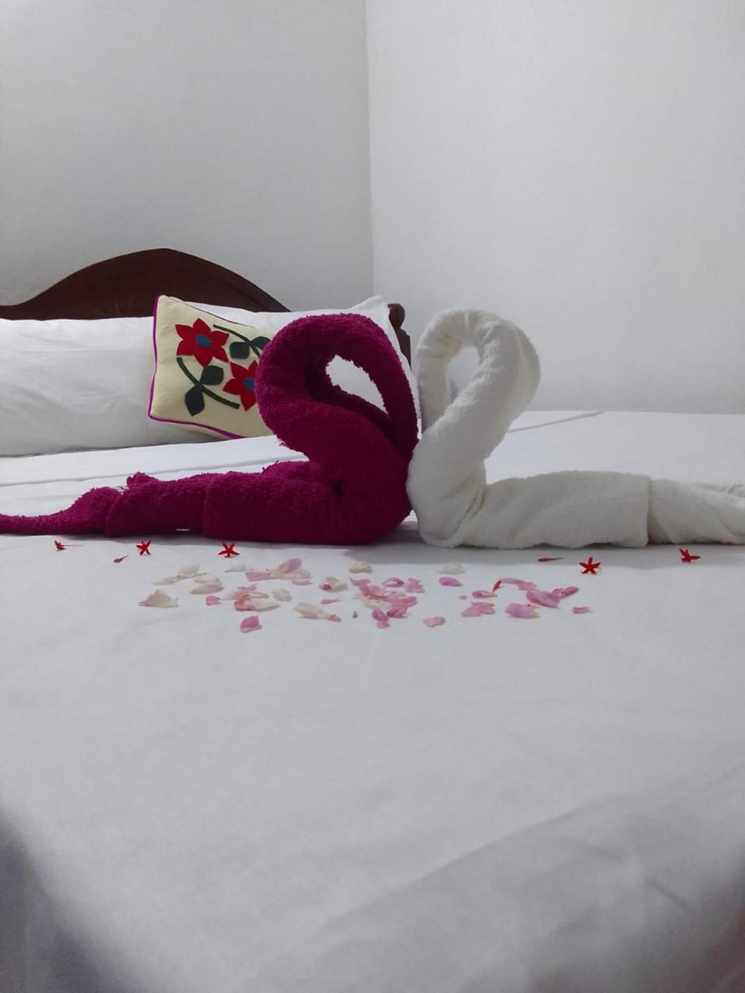 Winstar Homestay Sigirîya Extérieur photo