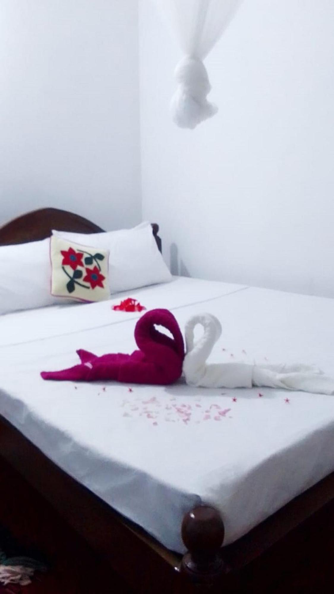 Winstar Homestay Sigirîya Extérieur photo