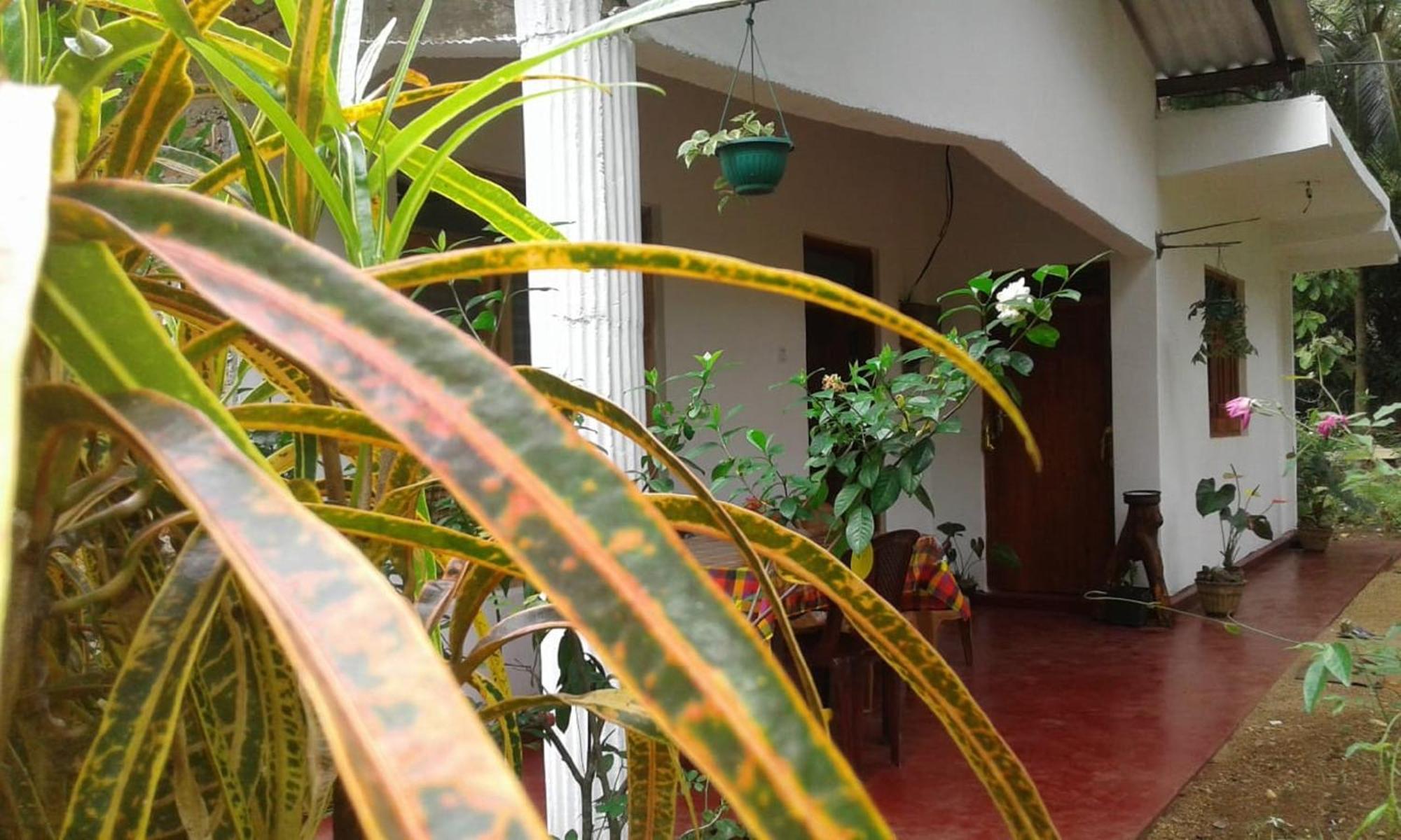 Winstar Homestay Sigirîya Extérieur photo